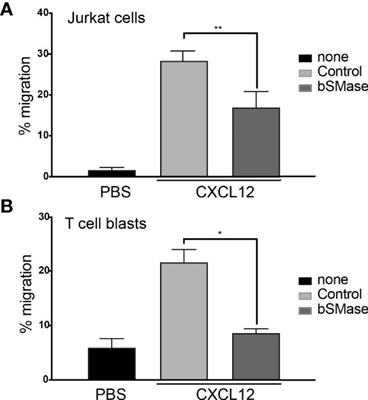 Sphingomyelin Depletion Inhibits CXCR4 Dynamics and CXCL12-Mediated Directed Cell Migration in Human T Cells